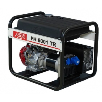 AGREGAT PRĄDOTWÓRCZY FH 6001 / T /  TE / R / TR / TRE / TRA / CRA